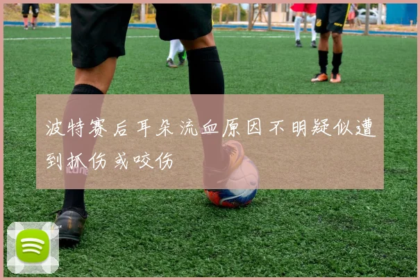 波特赛后耳朵流血原因不明疑似遭到抓伤或咬伤